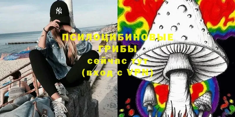 Псилоцибиновые грибы Cubensis  Курск 